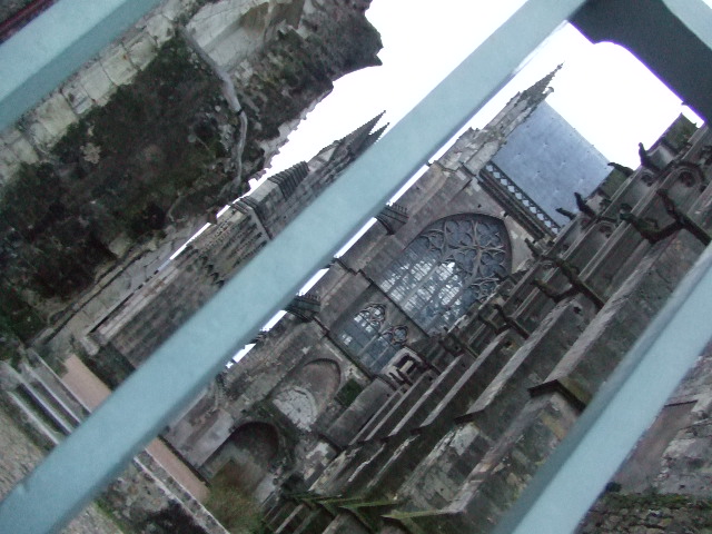 f0076001_1905810.jpg