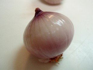 f0043911_1513022.jpg