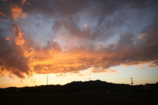 e0080212_22423813.jpg