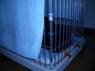c0066514_23243961.jpg