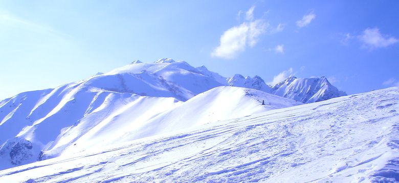 c0073016_13482086.jpg