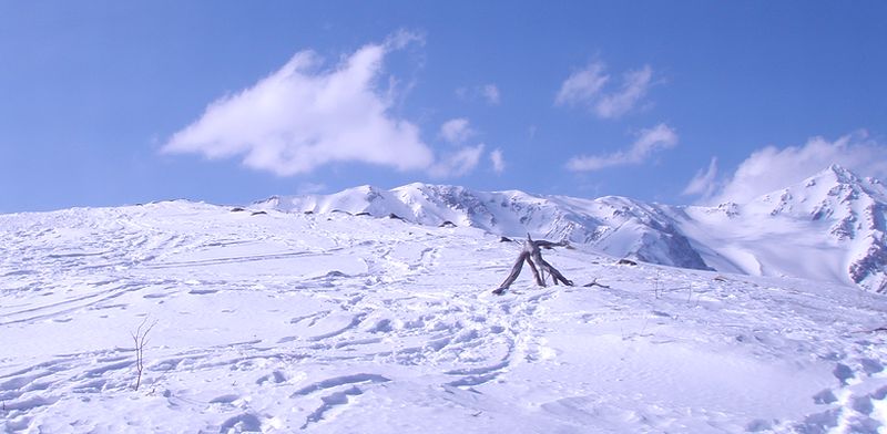c0073016_14544916.jpg