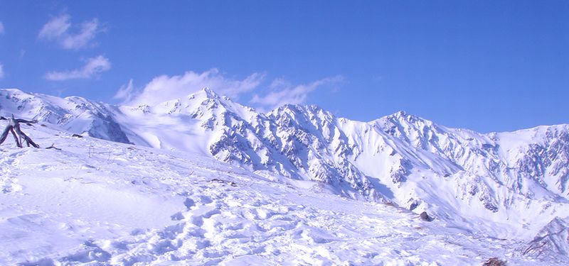 c0073016_14564919.jpg