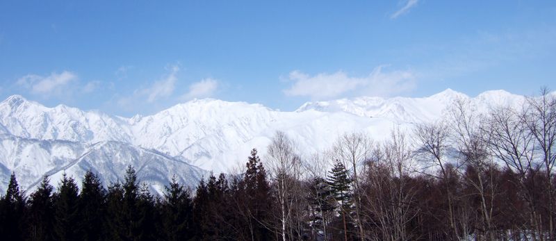 c0073016_23371073.jpg