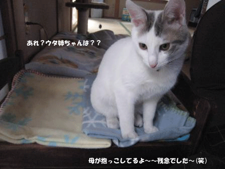 渋々～♪_a0093825_8444371.gif