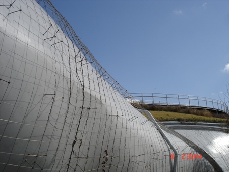 c0022340_2102646.jpg