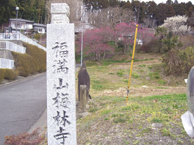 ３月９日　専称寺＆梅林寺の梅_f0105342_1614081.jpg