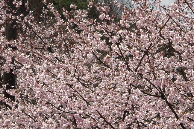b0088444_2352390.jpg