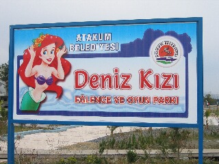 f0131048_17766.jpg