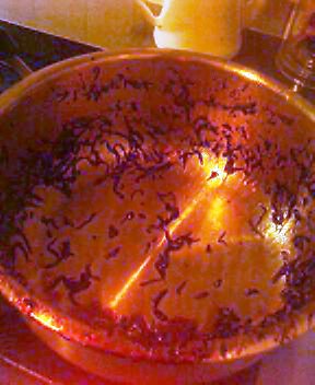 d0083265_11183953.jpg