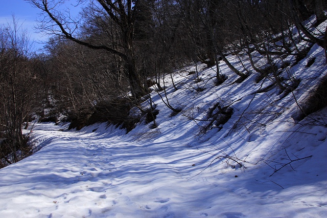 e0091879_30793.jpg