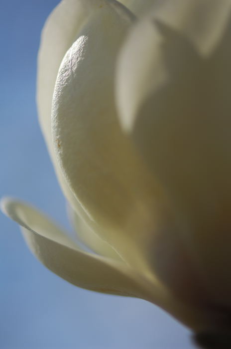f0032011_21174111.jpg