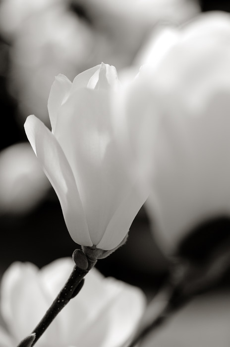 f0032011_21174991.jpg