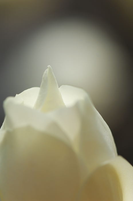 f0032011_21184128.jpg