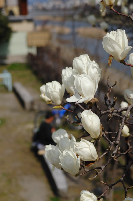 f0032011_2122132.jpg