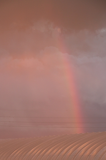 e0080212_7141457.jpg