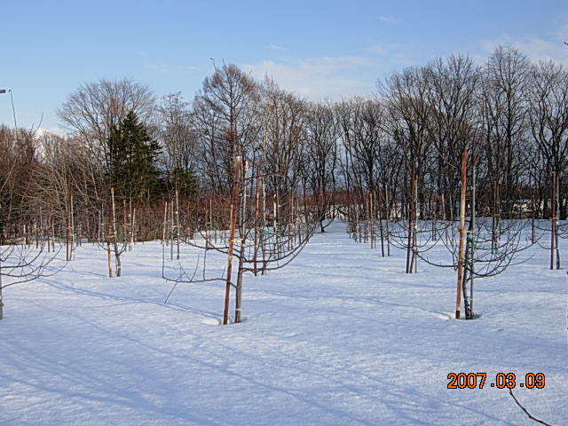 a0089814_2184928.jpg