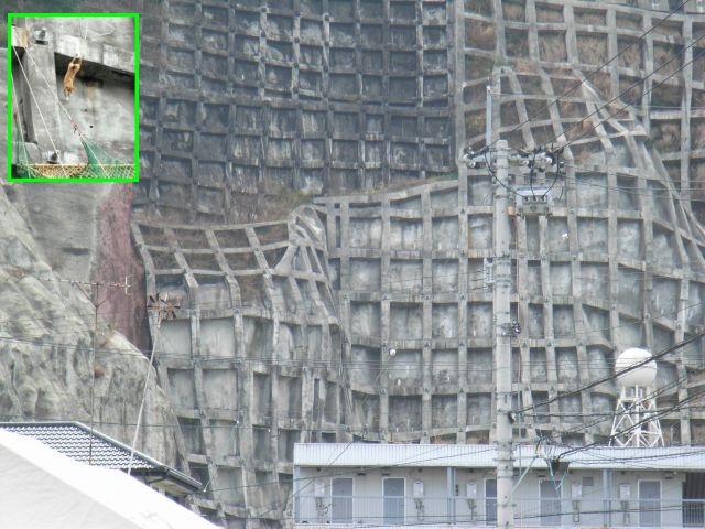 徳島でびっくり3題_c0025115_20201476.jpg