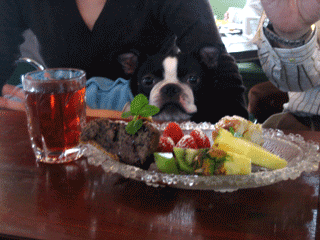 e0080117_22252638.gif