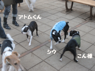 e0080117_22395497.gif