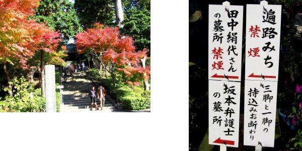 鎌倉錦秋編(2):円覚寺・明月院(06.12)_c0051620_7102377.jpg
