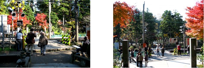 鎌倉錦秋編(2):円覚寺・明月院(06.12)_c0051620_7121017.jpg