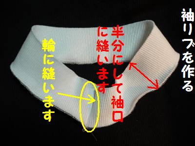 d0059230_1162511.jpg
