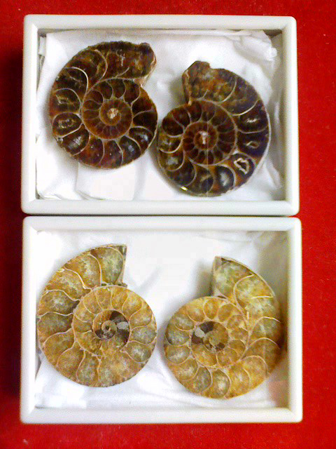 d0108041_13335357.jpg