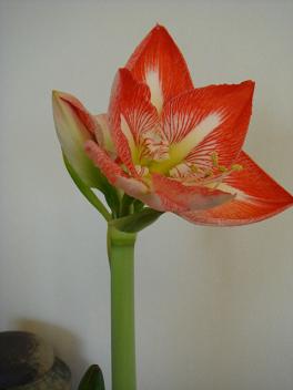 f0046854_20102592.jpg