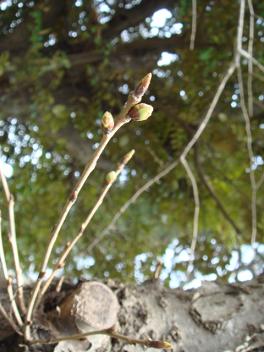 f0046854_20125584.jpg