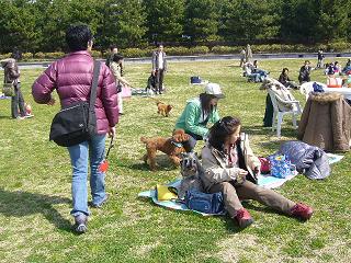 犬のいろはin お台場　潮風公園　　　　　3月10日_f0050955_2321850.jpg