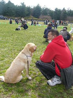 犬のいろはin お台場　潮風公園　　　　　3月10日_f0050955_23375617.jpg