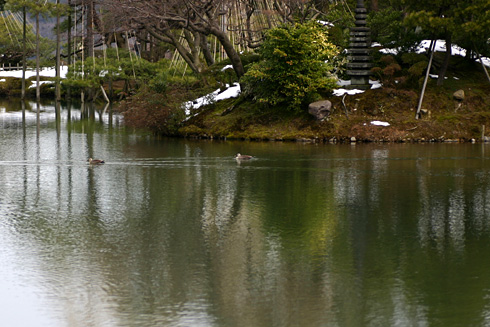 兼六園の雪吊り_d0113164_18303857.jpg