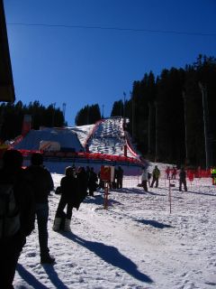 フリースタイルスキー世界選手権2007（3月9日）_e0051670_62353100.jpg