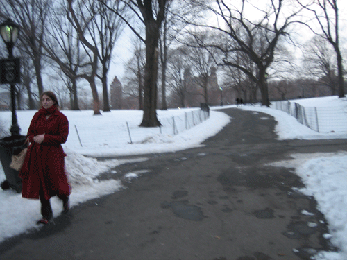 NYと雪_b0061376_156261.gif