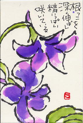 すみれ 日々是絵手紙