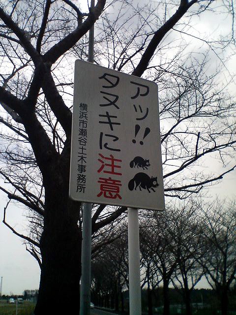 e0034994_17485554.jpg