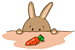 b0103502_23254534.gif