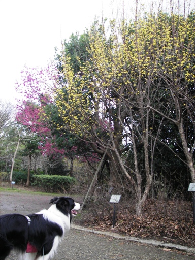 f0034602_17163958.jpg