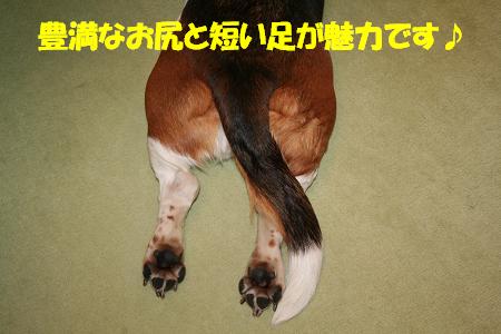 f0121712_8514919.jpg