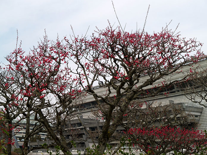 【京都　北山】宝ヶ池～修学院～出町柳_c0039413_923831.jpg