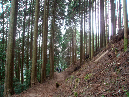京都一周トレイル_e0048413_1865743.jpg
