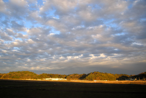 多摩川CR〜羽田_e0089826_2238277.jpg