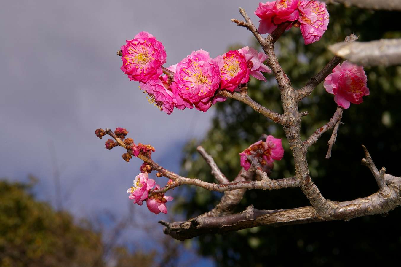 b0069128_2291540.jpg