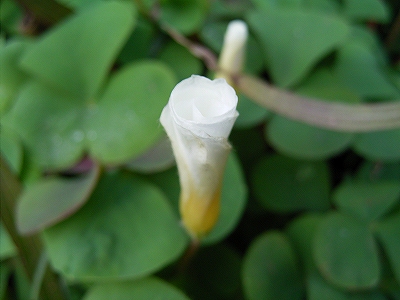 f0029038_2126640.jpg
