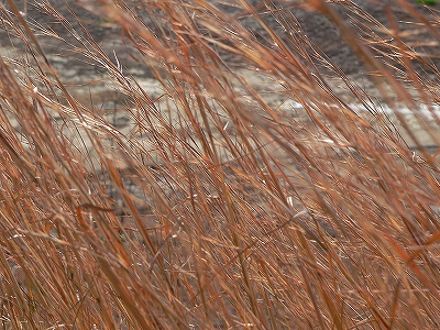f0029038_2127864.jpg
