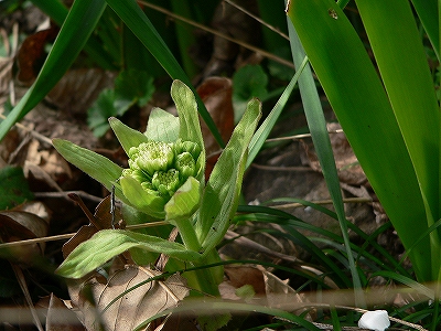 f0029038_21284877.jpg