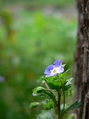 f0029038_21293074.jpg