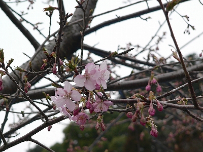 f0029038_21295884.jpg