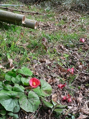 f0029038_2130132.jpg